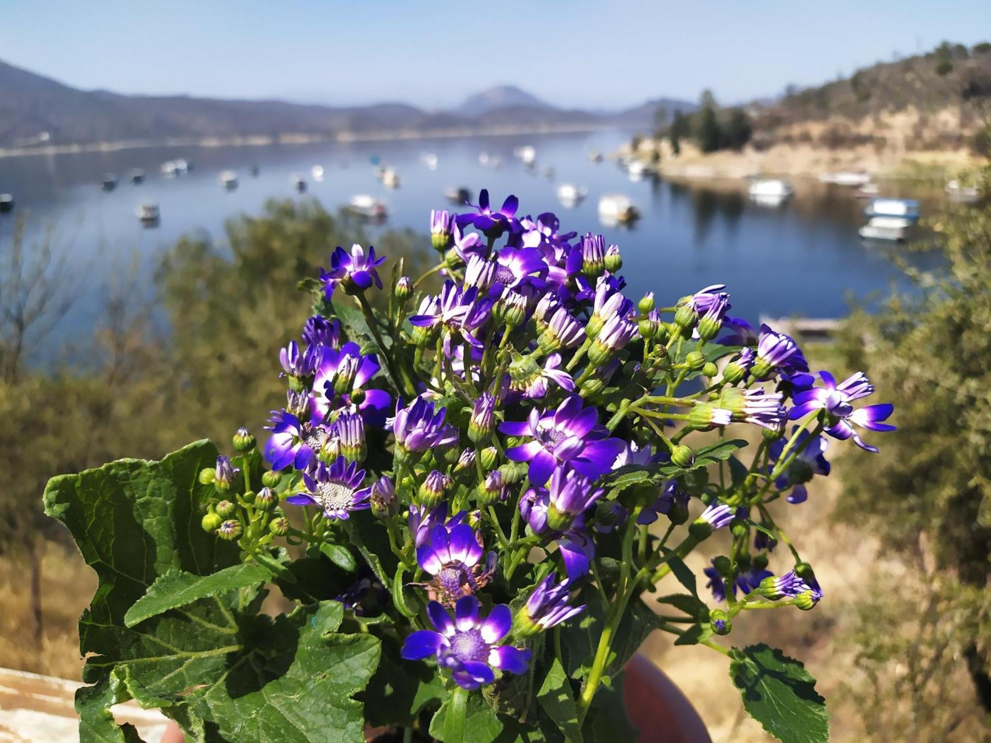 Terrazas Del Lago 카브라 코랄 외부 사진